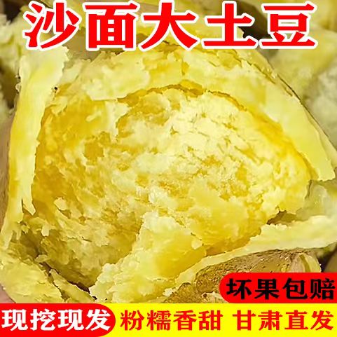 请输入图片描述